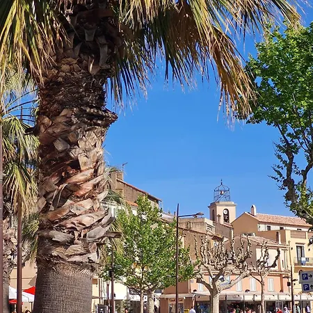 Sm023 Terrasse Du Soleil Maxime Centre-ville T2 Vue Proche De La * 圣马克西姆