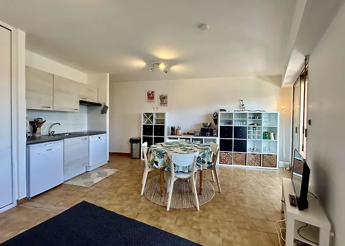 公寓 Sm023 Terrasse Du Soleil Maxime Centre-ville T2 Vue Proche De La 圣马克西姆