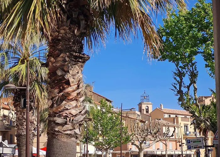 Sm023 Terrasse Du Soleil Maxime Centre-ville T2 Vue Proche De La * 圣马克西姆